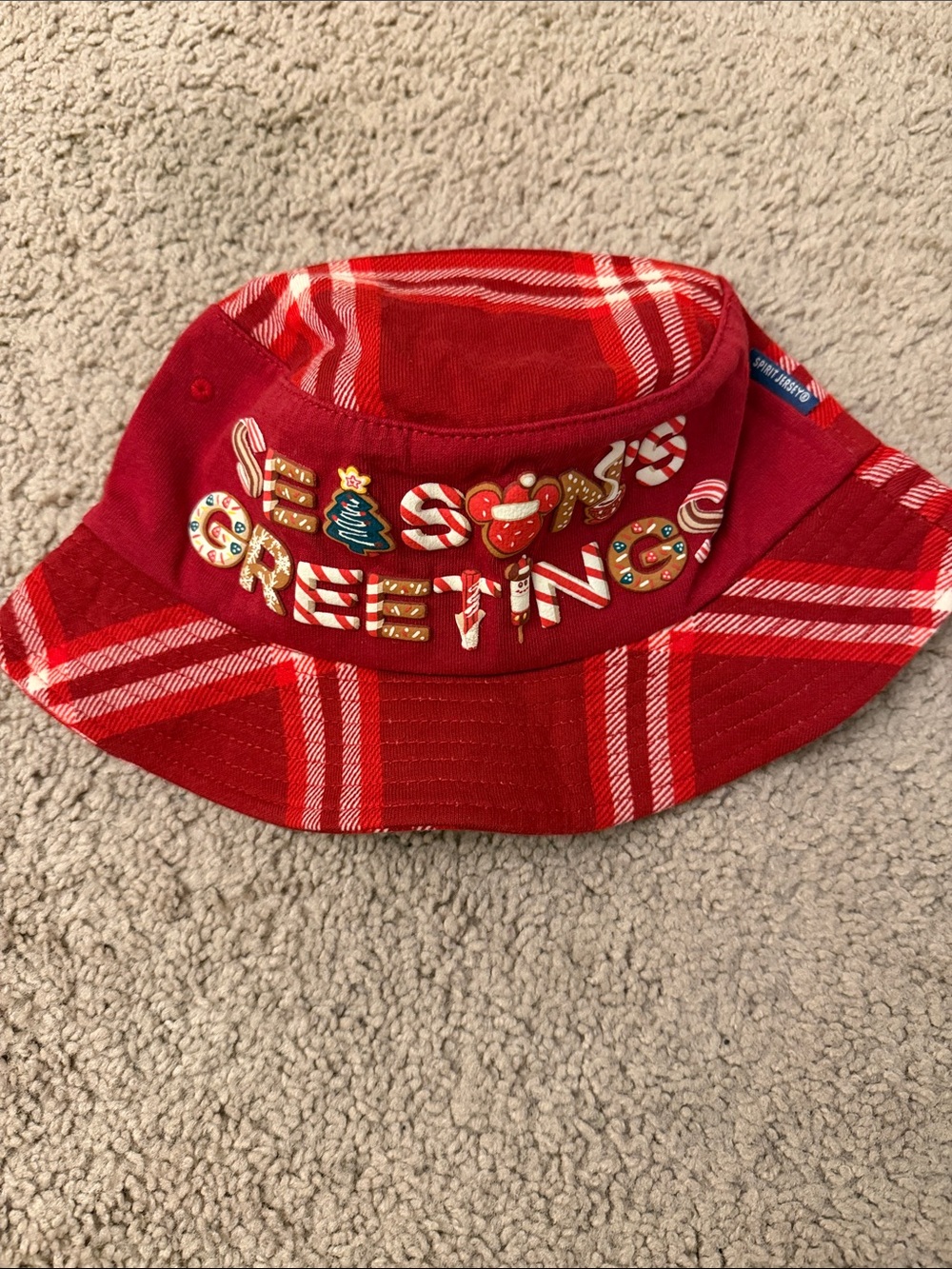 Disney Spirit Jersey Plaid Bucket Hat
